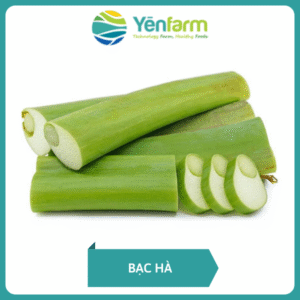 Bạc hà (dọc mùng)