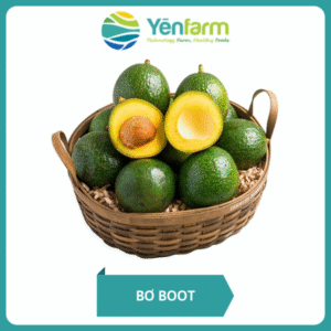 Bơ Boot