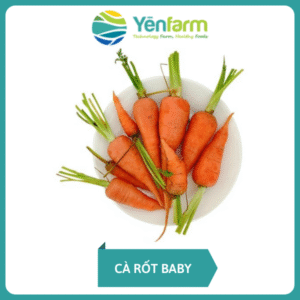 Cà rốt baby