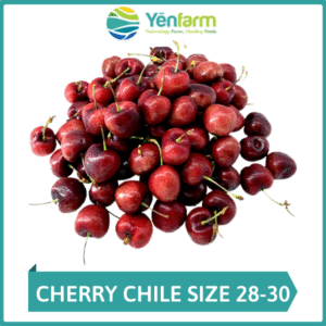 Cherry Chile size 28-30