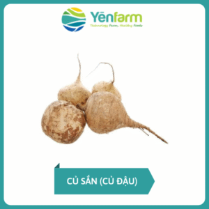 Củ sắn (củ đậu)