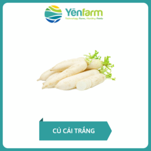 Củ cải trắng