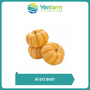 Bí đỏ baby