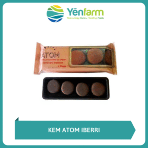 Kem Atom Iberri - Iberri Atom Ice Cream