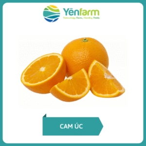 Cam Úc