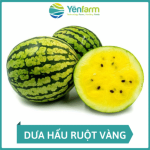 Dưa hấu ruột vàng