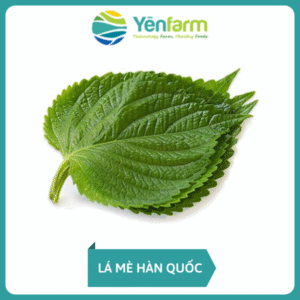 Lá Mè Hàn Quốc