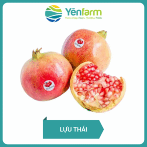 Lựu Thái