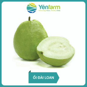 Ổi Đài Loan