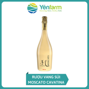 Rượu Vang Sủi Moscato Cavatina