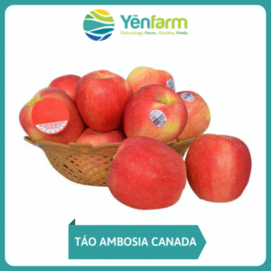 Táo Ambosia Canada