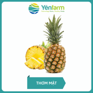 Thơm mật