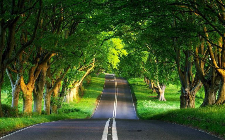 duong tinh luyen 0