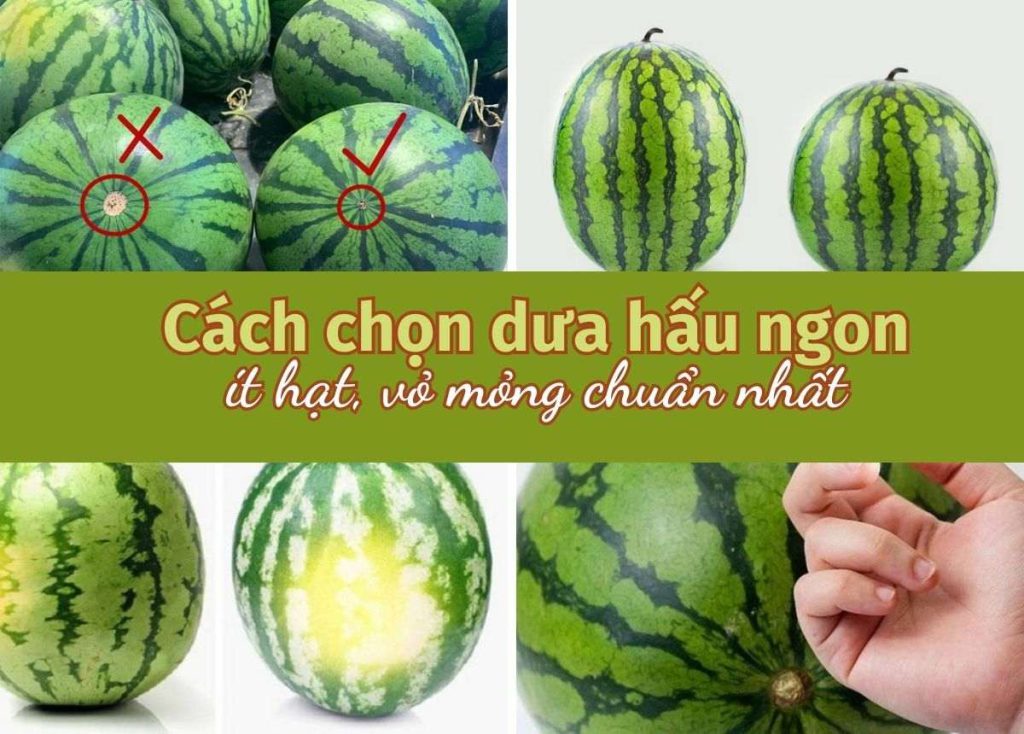 chon dua hau ngon 0