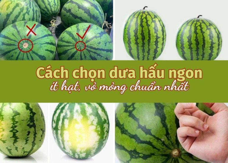 chon dua hau ngon 0