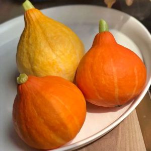 Bí Giọt Nước