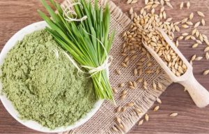 Bột Cỏ Lúa Mì Unimandala