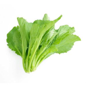 Cải bẹ xanh thuỷ canh
