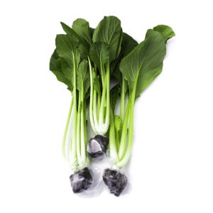 Cải ngọt thuỷ canh