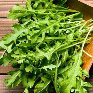 cải Rocket