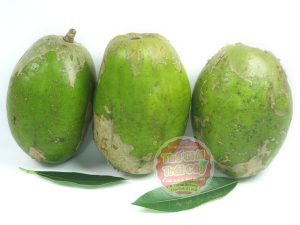 Cóc Cày Xanh