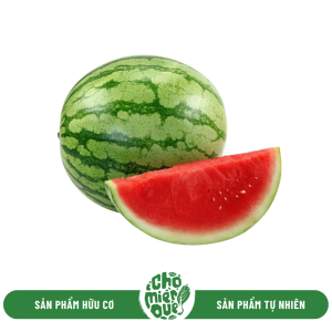 Dưa Hấu Đỏ Sọc Mỹ