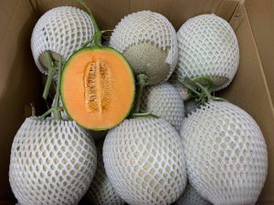 Dưa lưới Đà Lạt