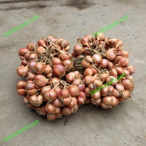 Hành khô Hải Dương 100gr