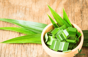 Lá Dứa