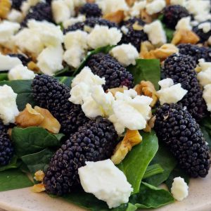 JBar – Mulberry Salad Healthy (dâu tằm)