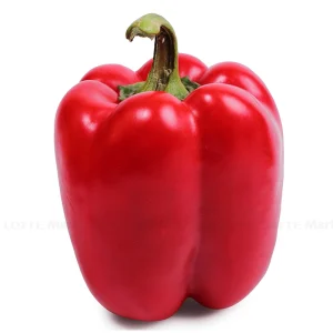 Ớt chuông ĐL – Đỏ