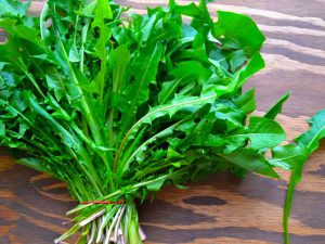 Rau bồ công anh