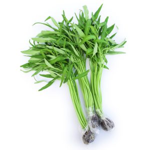 Rau muống thủy canh