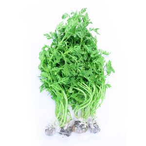 Rau tần ô thủy canh