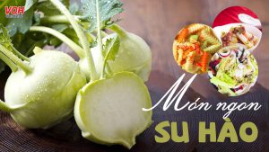 Su hào