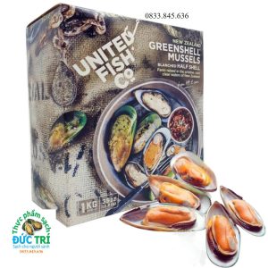 Vẹm Xanh NZ Nửa Mảnh Size M